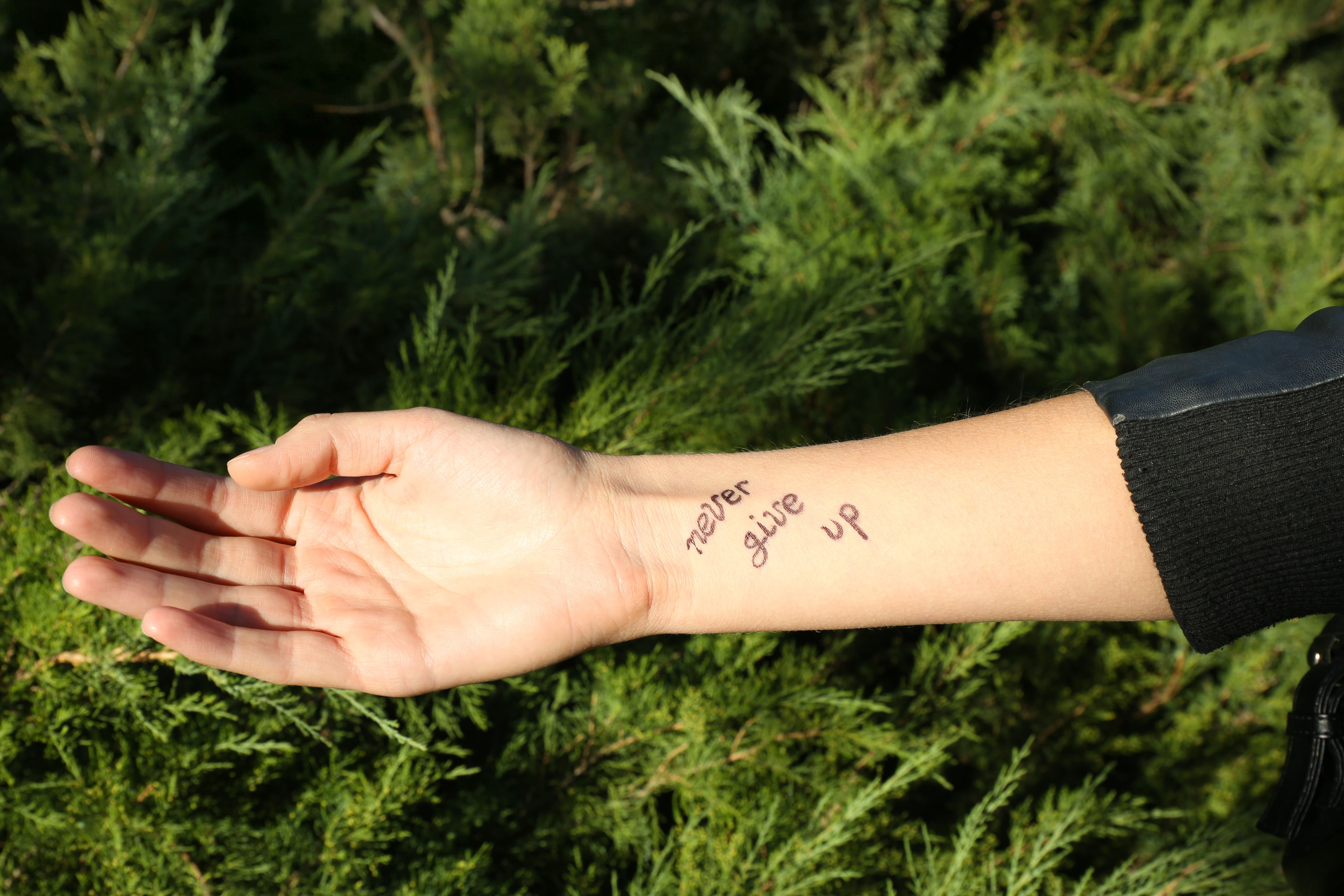 Foto de braço com uma tatuagem escrita "never give up"